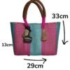 Mini Frida Artisan Bag – Pink & Aqua Blue Handwoven Mexican Bag